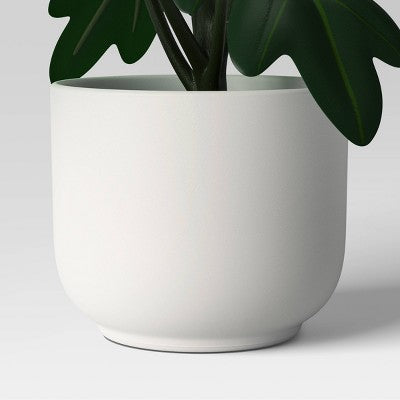 Core Plant Multipack in White Pot - Room Essentials