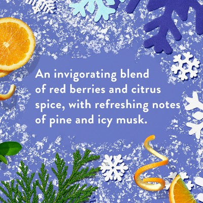 Native Holiday Limited Edition Aluminum-Free Mini Deodorant - Travel Size - Alpine Air - 0.35oz: Invisible Solid, Normal Skin