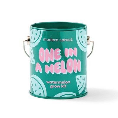 Modern Sprout Watermelon Complimentary Color Grow One in a Melon Seed Starter Kit