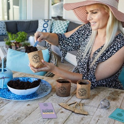 Garden Republic Tea Grow Kit