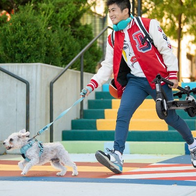 Jetson Ora Pro Electric Scooter - Black (LOCAL PICKUP ONLY)