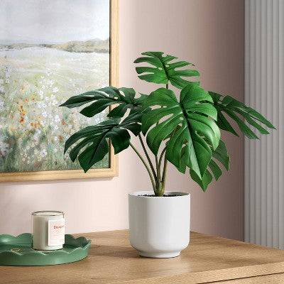 13" Monstera Plant - Room Essentials (LOCAL PICKUP ONLY)