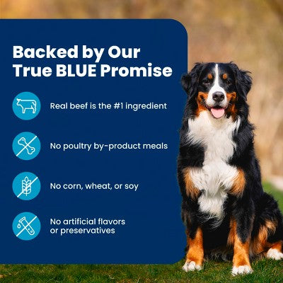 Blue Buffalo Life Protection Formula Natural Adult Dry Dog Food with Beef and Brown Rice - 5lbs