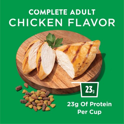 Dog Chow Chicken Flavor Adult Dry Dog Food - 3.5lbs