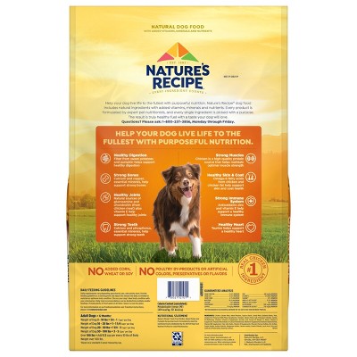 Nature's Recipe Grain Free Chicken, Sweet Potato & Pumpkin Recipe Adult Dry Dog Food - 12lbs