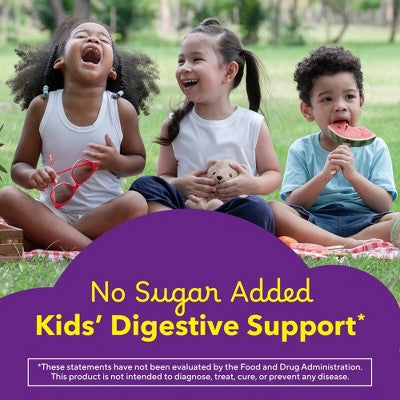 L'il Critters Fiber Gummies - Fruit Flavors - 90ct