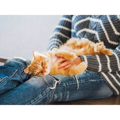 Naturally Fresh Quick Clumping Cat Litter - 14lbs