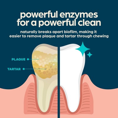 Chewsday Mint Flavor Dental and Hard Chew with Enzyme Dog Treats - 6.55oz/7ct