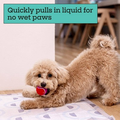 Pet Life Unlimited Puppy Smart Prints Training Dog Pads - L - 40ct