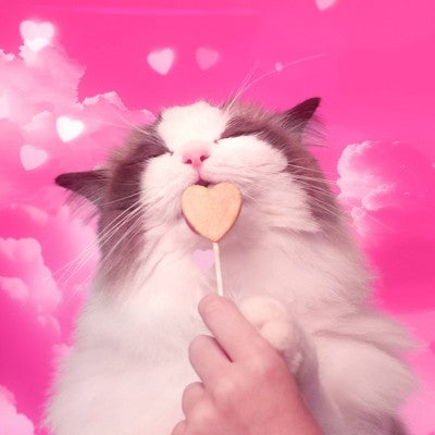 Bonkers Purrpops Freeze-Dried Tuna Flavored Lollipop Cat Treats - 0.2oz/4ct
