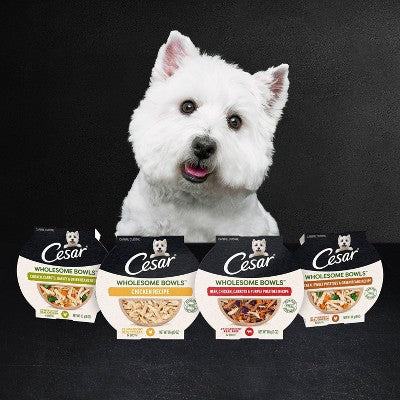 Cesar Wholesome Bowls Chicken, Potato, Carrot, Vegetable and Beef Flavor Variety Pack Small Breed Wet Dog Food - 3oz/6ct