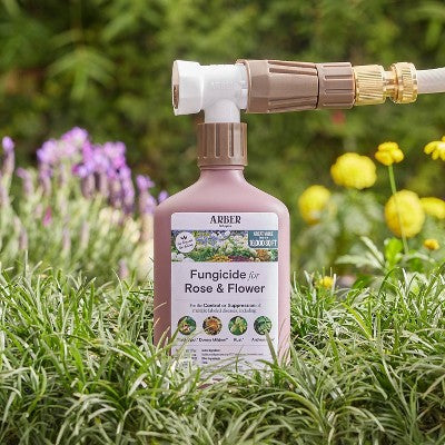 Arber Organic Fungicide for Rose and Flower