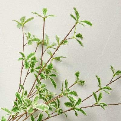 36" Faux Variegated Terminalia Leaf Branch - Hearth & Hand with Magnolia (LOCAL PICKUP ONLY)