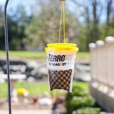 Terro Disposable Fly Trap
