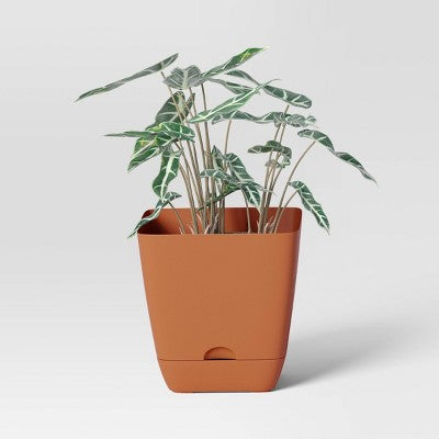 Square Self-Watering Plastic Indoor Outdoor Planter Pot Orange 6"x6" - Room Essentials