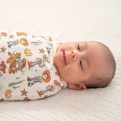 aden + anais Easy Wrap Quick Change - Zipper - Toy Story - 0-3 Months - 3pk