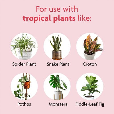 Miracle-Gro 6qt Tropical Potting Mix