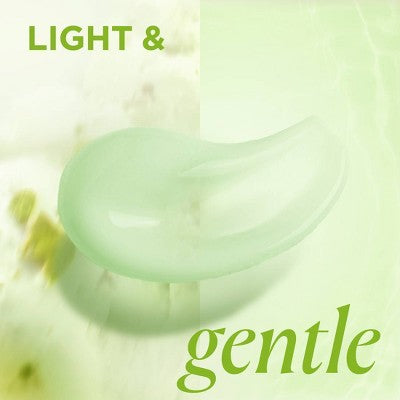 Beloved Pistachio Ice Cream Shower and Bath Gel - 11.8 fl oz