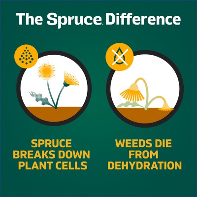 Spruce Weed and Grass Killer Powered Starter Kit 64oz