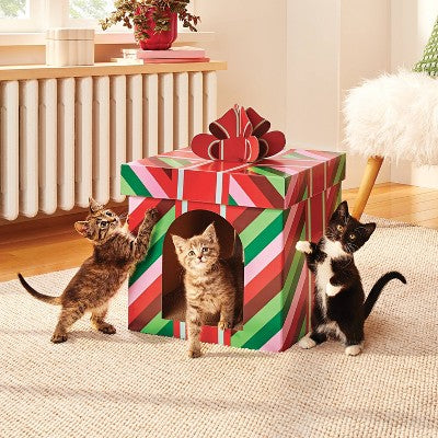 Present Shaped Cat Scratcher - 19.88" - Boots & Barkley