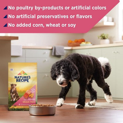 Nature's Recipe Grain Free Salmon, Sweet Potato & Pumpkin Recipe Dry Dog Food - 4lbs