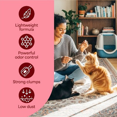 Fresh Step Lightweight Odor Shield Scented Clumping Kitty and Cat Litter - 11.5lbs
