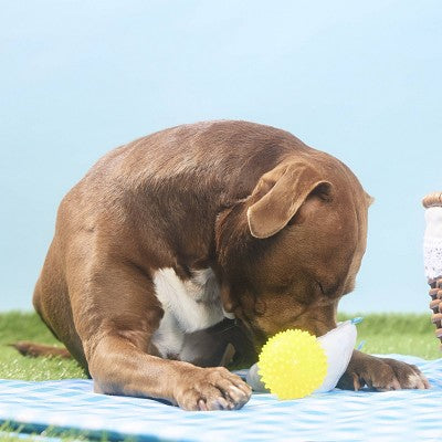 BARK Spring Picnic in the Bark Deviled Begg Dog Plush Toy - 2pc