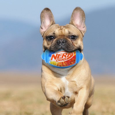 NERF Color Blast Squeak Football Dog Ball Toy