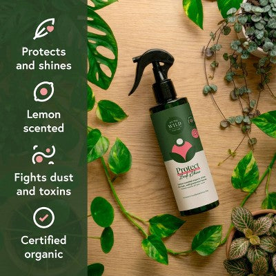 WE THE WILD Pest & Shine Kit Organic Chemical-Free Easy 3-Step Care For Houseplants