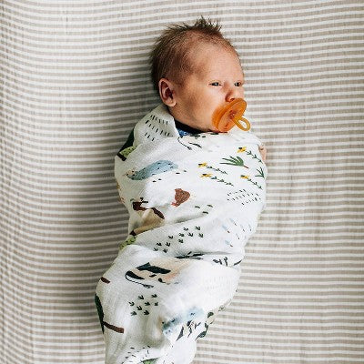 Red Rover Organic Cotton Muslin Swaddle Blanket - Family Farm - 2pk: Animal Prints, 44" x 44"