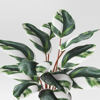 Luxe Maranta Leaf in Gold Pot - Threshold (LOCAL PICKUP ONLY)