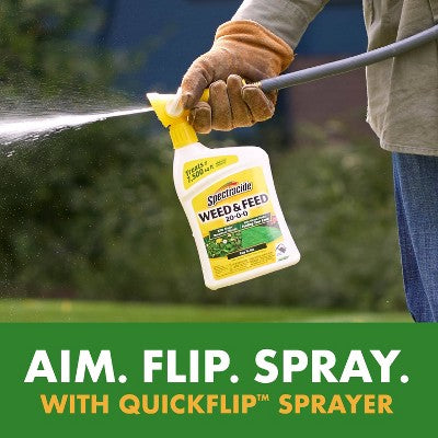 32 fl oz Ready-to-Spray Weed & Feed - Spectracide