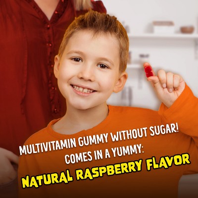The Flintstones Sugar Free Kids' Multivitamin Gummies - 60ct