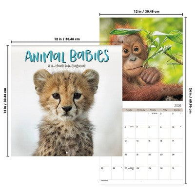 DateWorks 12"x12" 2026 Animal Babies Wall Calendar