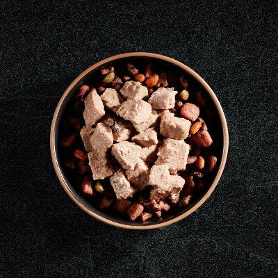 Cesar Loaf in Sauce Grilled Chicken Flavor Adult Wet Dog Food - 3.5oz