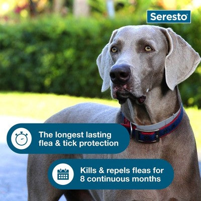 Seresto Flea & Tick Dog Insect Prevention Collar - L