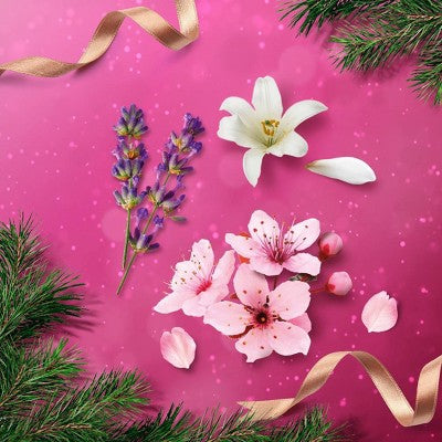 Beloved Hand Lotion Variety Gift Set - 3ct