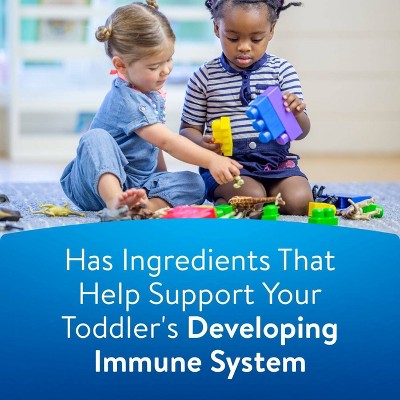 Similac Total Care 360 Go & Grow Non-GMO Powder Toddler Formula - 24oz
