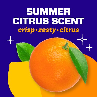Mr. Clean Freak Antibacterial Summer Citrus Starter Kit - 16 fl oz