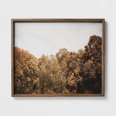 36" x 30" Golden Forest Framed Wall Art: Modern Decor, MDF & Glass - Threshold designed w/Studio McGee (LOCAL PICKUP ONLY)