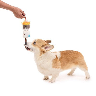 BARK Summer Big Shake Lake 2.5" Tug of Smore Dog Rope Toy