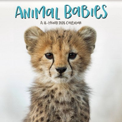 DateWorks 12"x12" 2026 Animal Babies Wall Calendar