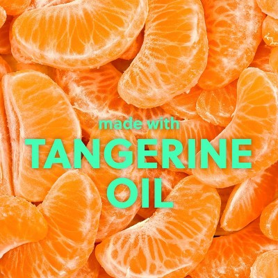 Tree Hut Tangerine Foaming Gel Body Wash - 18 fl oz