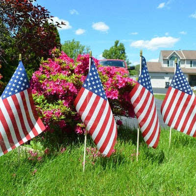 8"x12" Flag and Display: Betsy Flags Sentinel Poly-Cotton, Fade Resistant, No Assembly Required, FMAA Certified (LOCAL PICKUP ONLY)