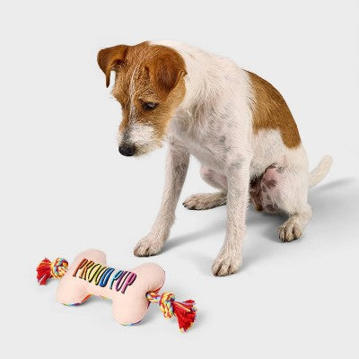 Pride 15" Bone Dog Rope Plush Toy