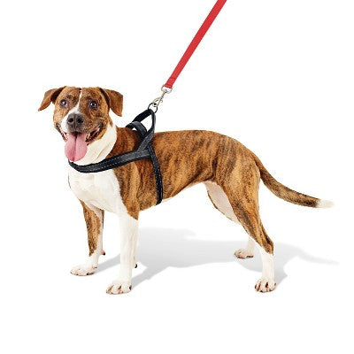 No Pull Comfort Dog Harness - L - Boots & Barkley