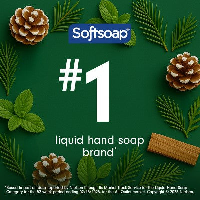 Softsoap Holiday Seasonal Hand Soap - Winter Pine - 11.25oz