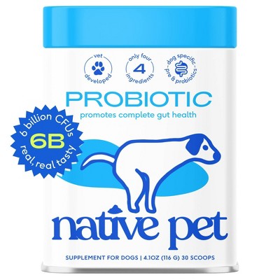 Native Pet Probiotic Powder for Dogs - Prebiotic Fiber & Bone Broth, Gut Health - 4.1 oz: Adult Pet Digestive Health