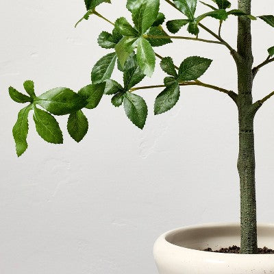 33" Faux Potted Gypsophila Leaf Tree - Hearth & Hand with Magnolia (LOCAL PICKUP ONLY)