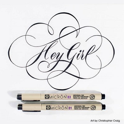 3pk Micron Archival Ink Multi-Size Tip Pen Set - Black: Pigma Micron Drawing Pens, Fine 0.45mm, Porous Point, 3 Count